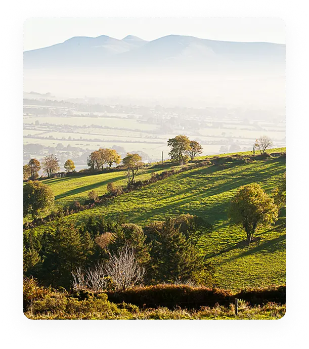 Explore the local area