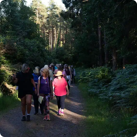 A group of people walks along a forest path surrounded by greenery and tall trees, with sunlight filtering through the foliage. Some wear hats and casual clothes, and the mood appears relaxed and social.