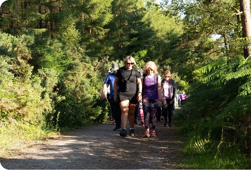 A group of people walks along a sunlit forest path surrounded by green trees and bushes. The group appears relaxed, enjoying the outdoor setting on a clear day.