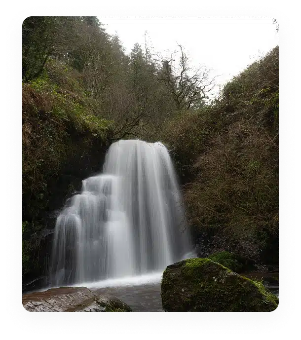 A small waterfall cascades over rocky ledges surrounded by lush greenery and moss-covered stones, with trees in the background under an overcast sky.